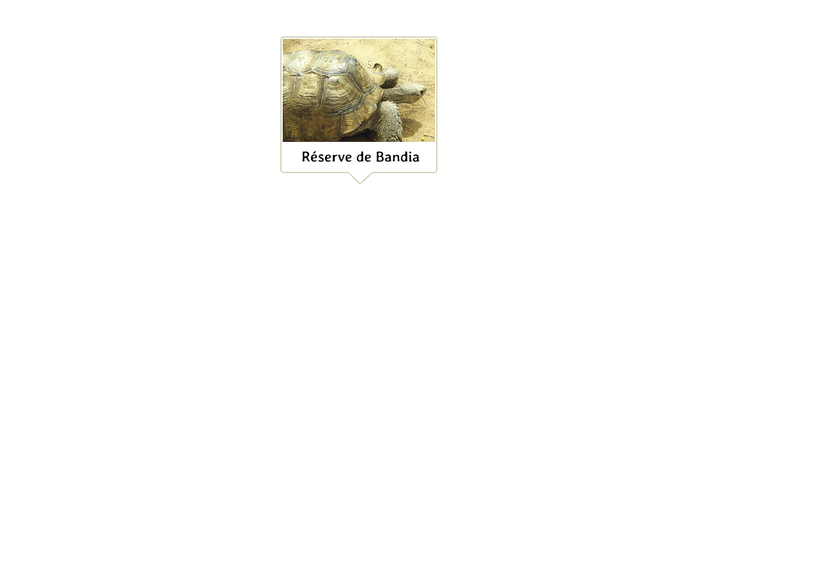 /content/05-comment-venir/04_bandia.png